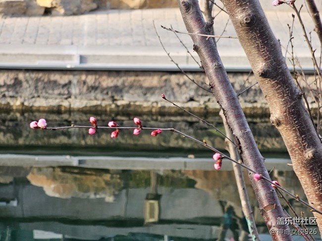 【春日序曲】湖邊