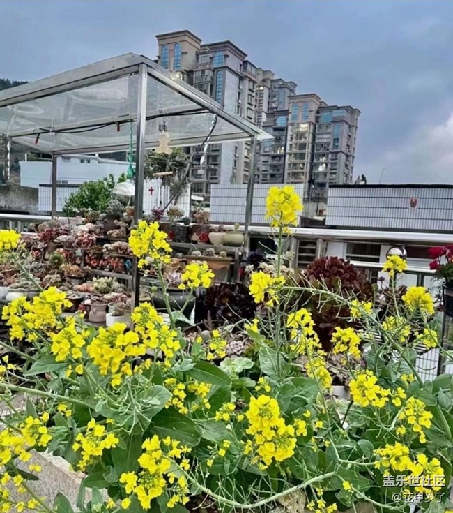 【春日尋花】春暖花開(kāi)