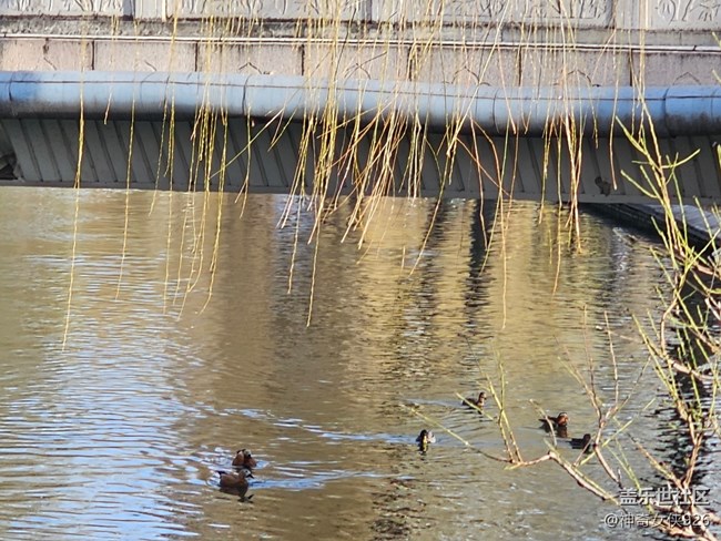 【春日序曲】悠閑春日