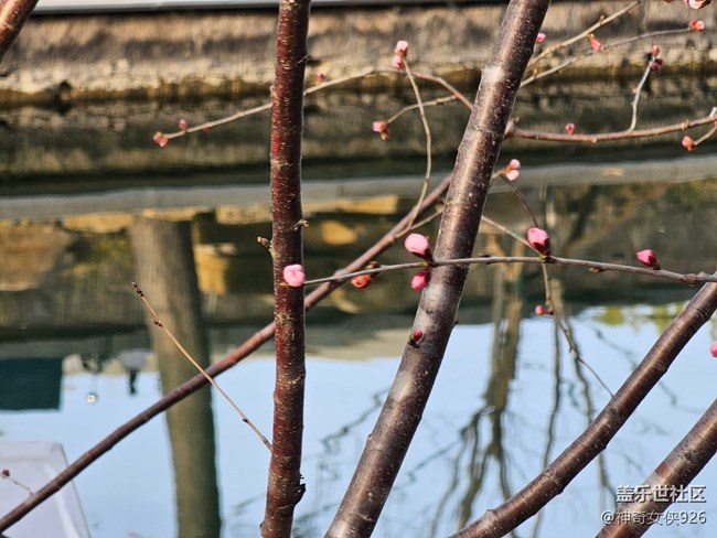 【春日序曲】湖邊