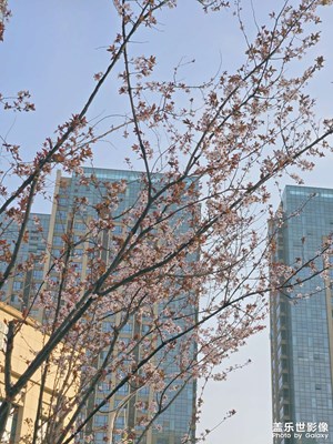 【好春光】+陽光下的道路???