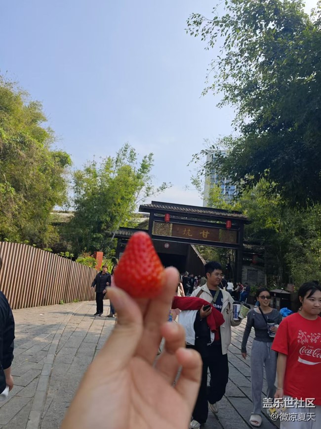 【活動回顧】古鎮(zhèn)的三角梅