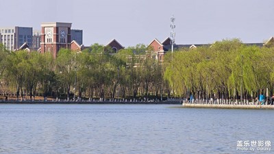 【好春光】春光無限