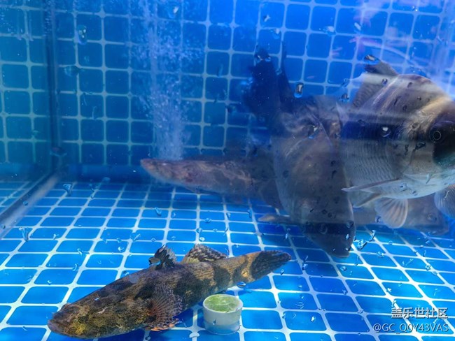 【時間在此刻靜止】海鮮盛宴，味蕾的狂歡