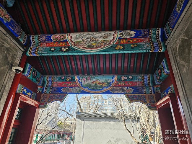 【春日序曲】院落長廊