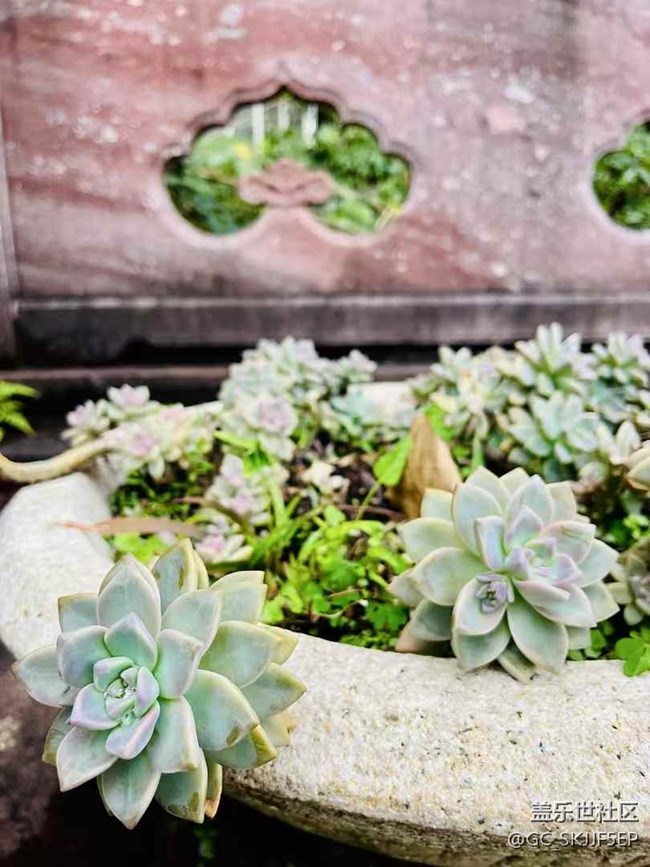 【時(shí)間在此刻靜止】丹霞山奇遇，山水禪意間