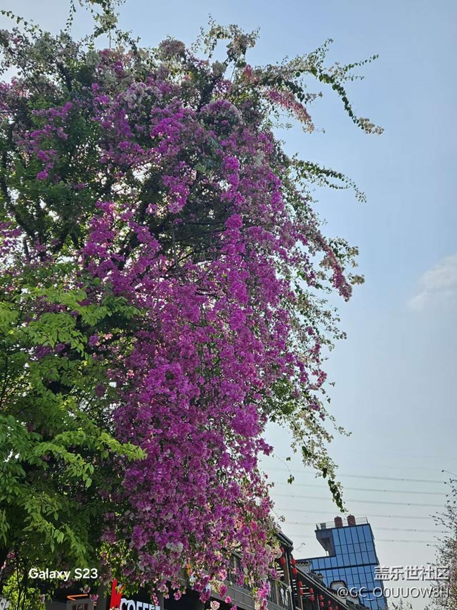 【活動回顧】甘坑古鎮(zhèn)