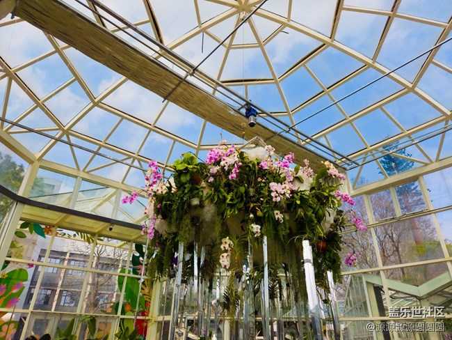 【花開盛宴】武漢星部落活動總結(jié)帖