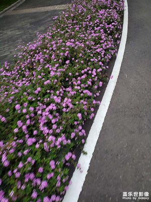 【好春光】公園美景