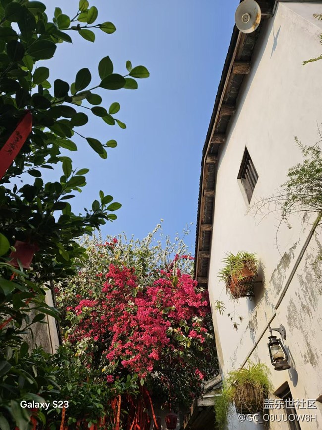 【活動回顧】甘坑古鎮(zhèn)