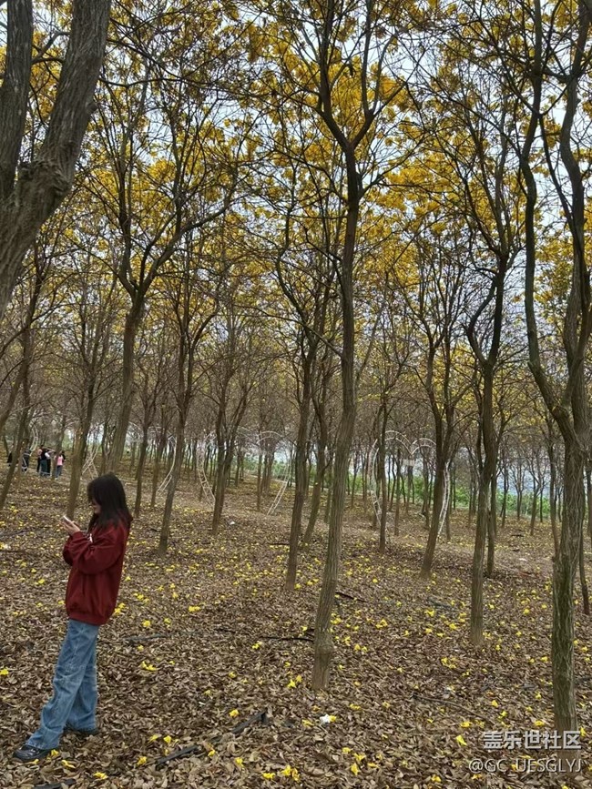 【時間在此刻靜止】步履不停，邂逅美好