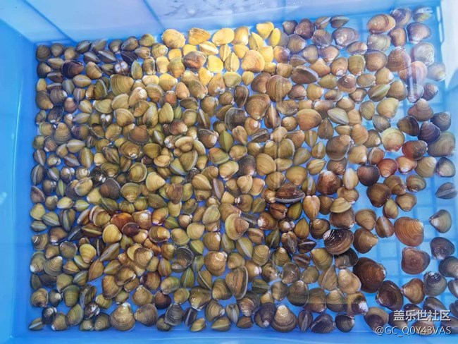 【時間在此刻靜止】海鮮盛宴，味蕾的狂歡