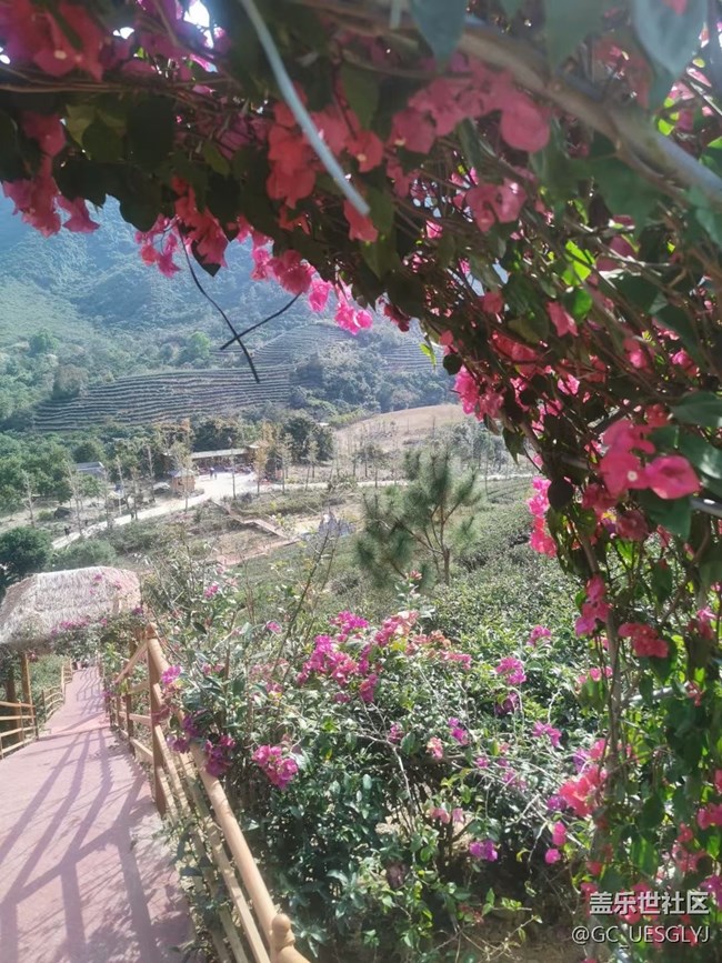 【時間在此刻靜止】步履不停，邂逅美好