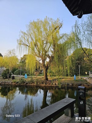 【好春光】公園里的花草樹木
