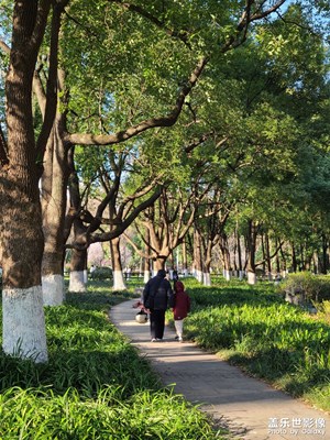 【好春光】+美麗春光