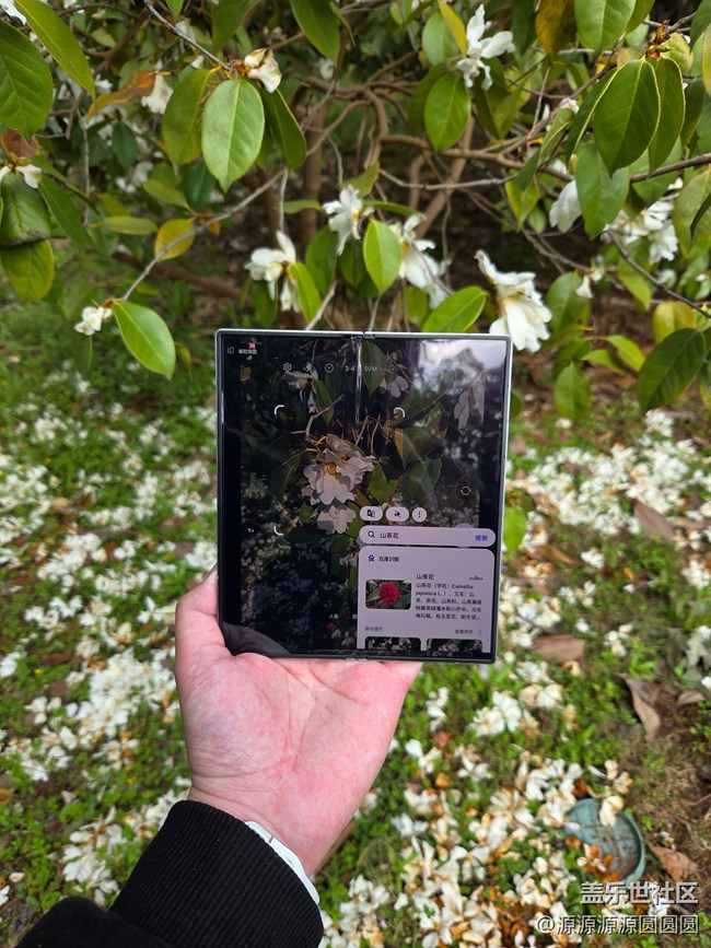 【花開盛宴】武漢星部落活動總結(jié)帖