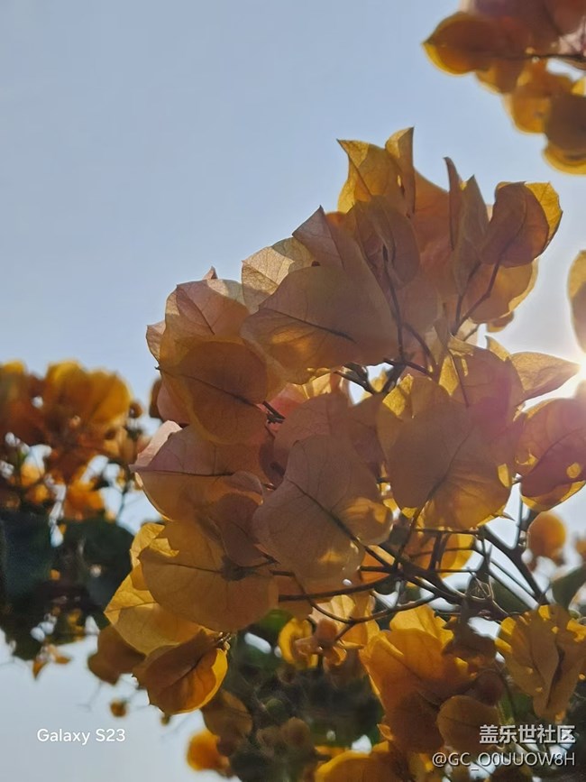 【活動回顧】甘坑古鎮(zhèn)