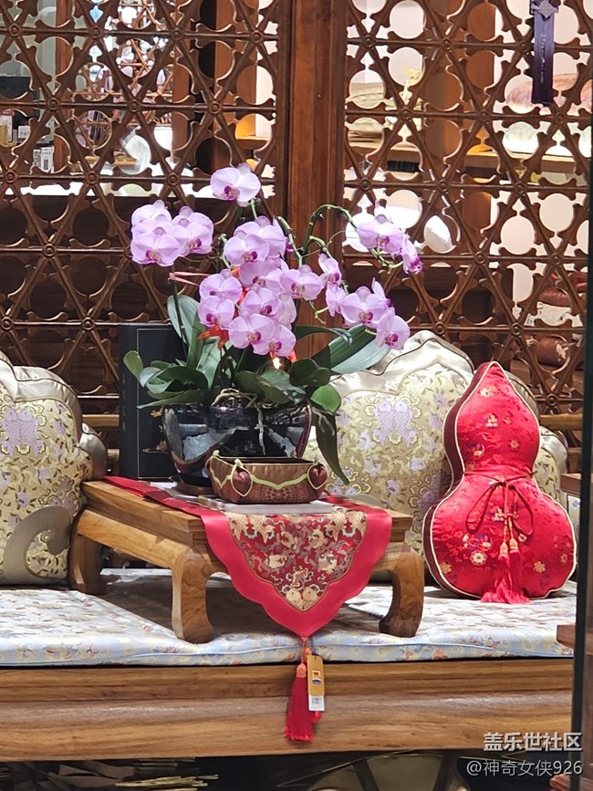 【春日序曲】花界