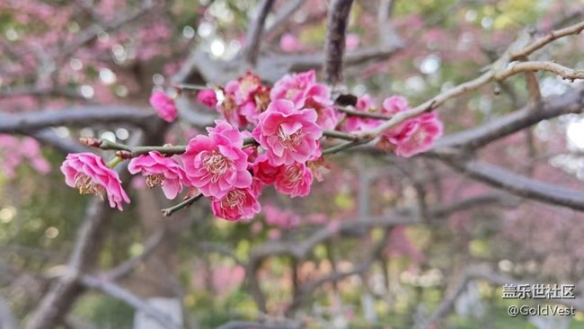 【城市建筑美學(xué)】古典園林的活態(tài)傳承