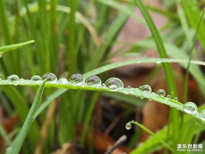 【拍有細(xì)節(jié)】晶瑩剔透