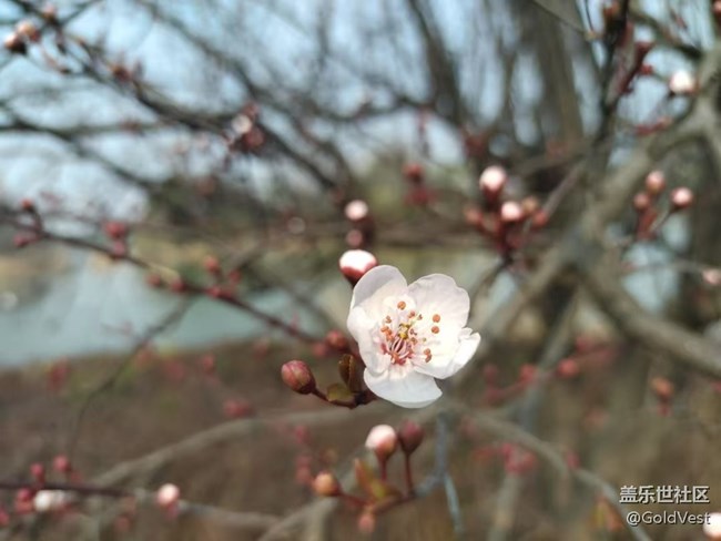 【醒春】春去春又回