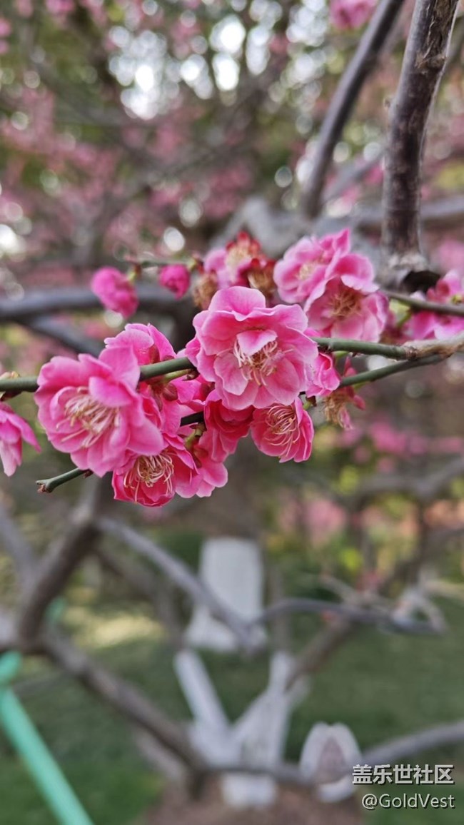 【城市建筑美學(xué)】古典園林的活態(tài)傳承