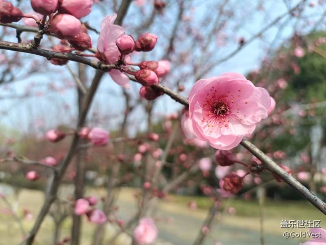 【醒春】春去春又回