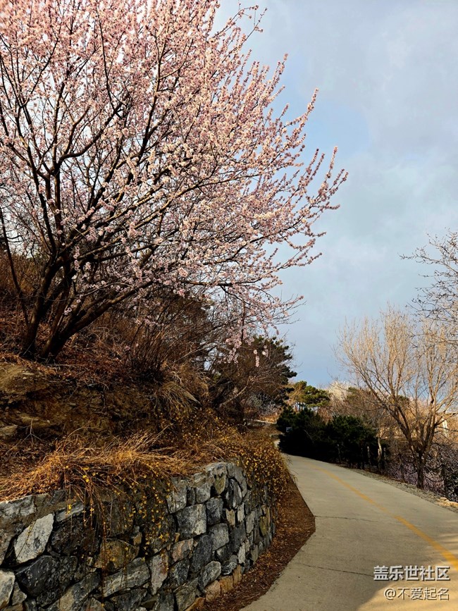【春風(fēng)十里】登山看風(fēng)景