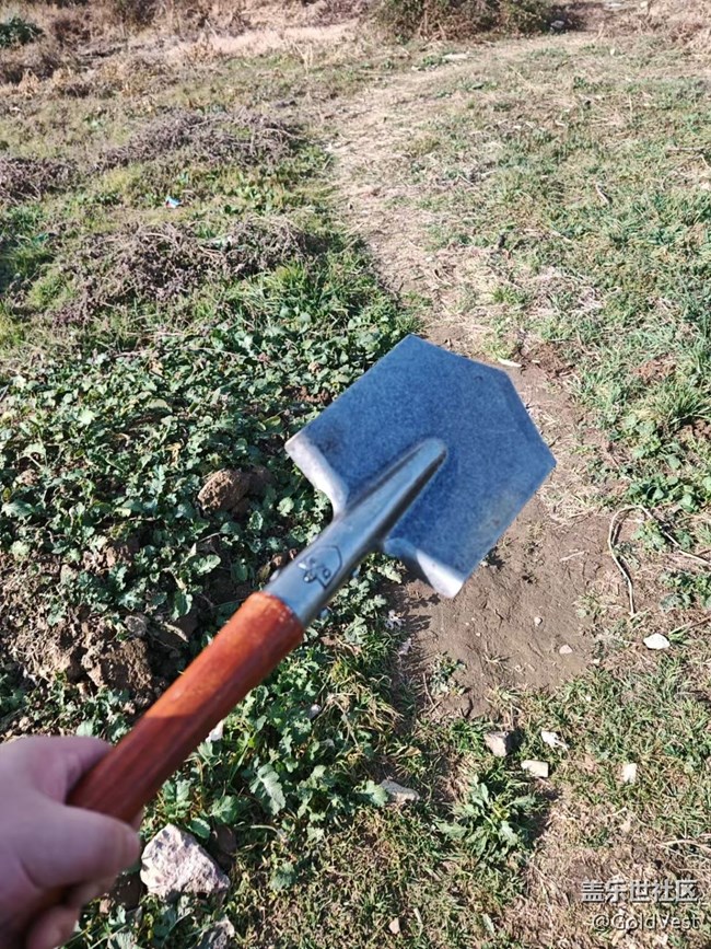 【咬春食補圖鑒】開春江堤露營采泥蒿