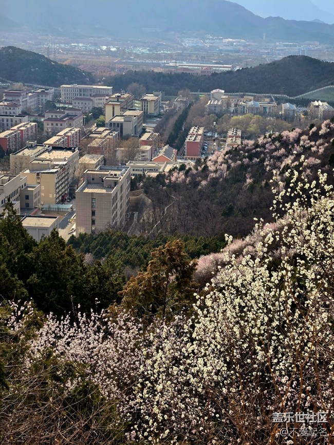 【春風(fēng)十里】登山看風(fēng)景