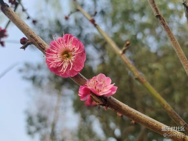 【醒春】春去春又回