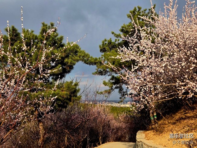 【春風(fēng)十里】登山看風(fēng)景