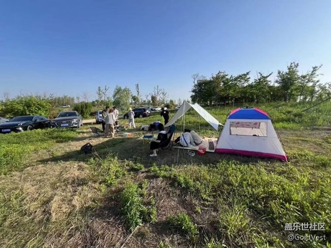 【咬春食補圖鑒】開春江堤露營采泥蒿