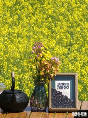 [拍有細節(jié)】在陽光燦爛的春日里