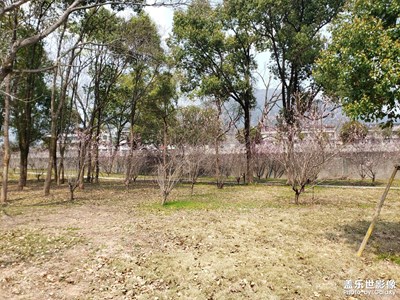 【拍有細(xì)節(jié)】逛公園