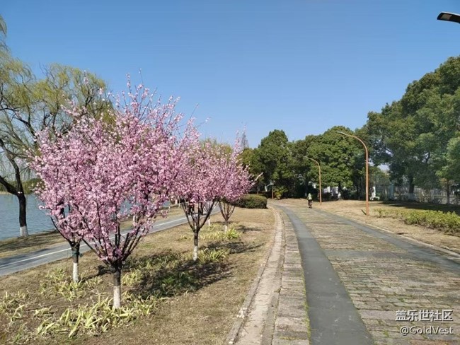 【醒春】春去春又回