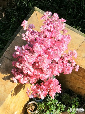 【拍有細(xì)節(jié)】+抬頭見金