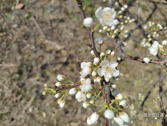 【醒春】春去春又回