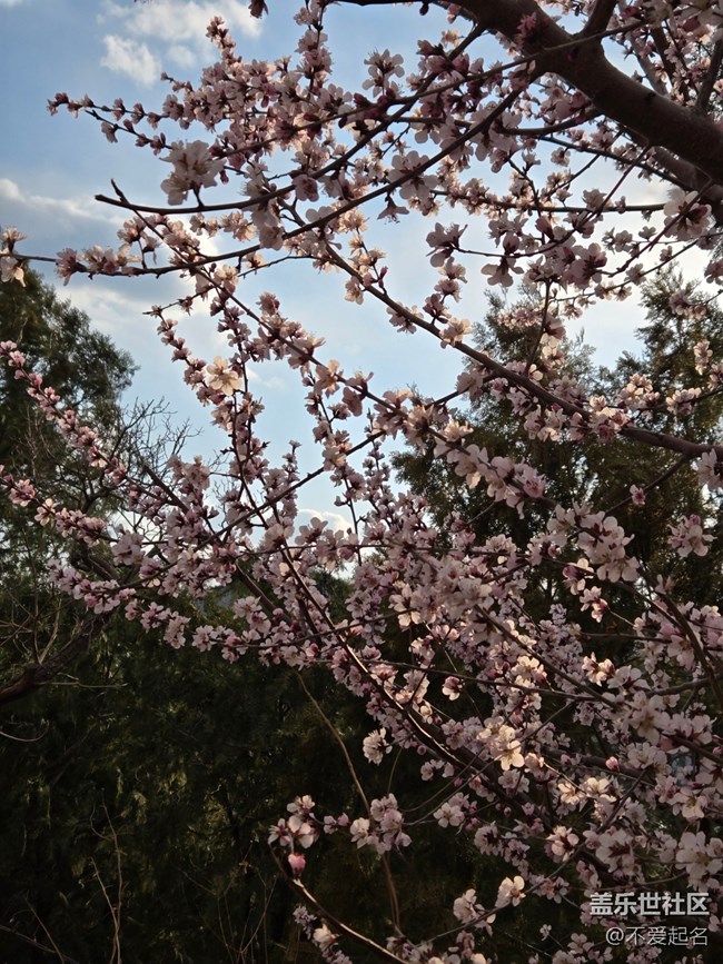 【春風(fēng)十里】登山看風(fēng)景