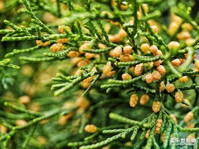 【拍有細(xì)節(jié)】+春分時節(jié)