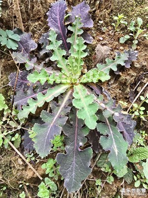 【拍有細(xì)節(jié)】+路邊隨手拍