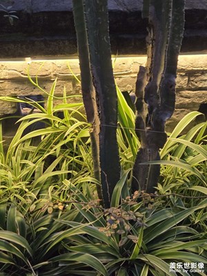 【拍有細(xì)節(jié)】+生活小細(xì)節(jié)