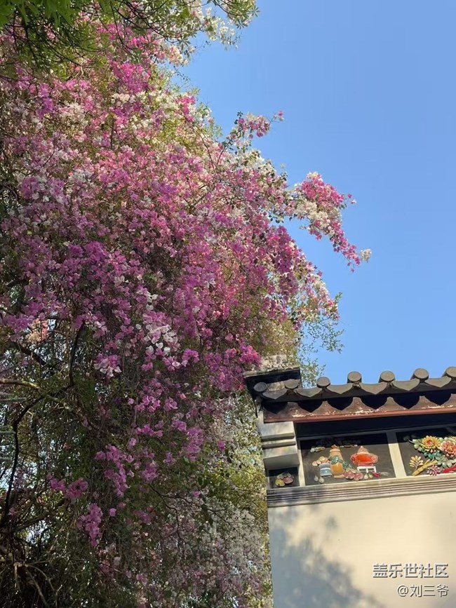 【春花浪漫】古建繁花，詩意流淌