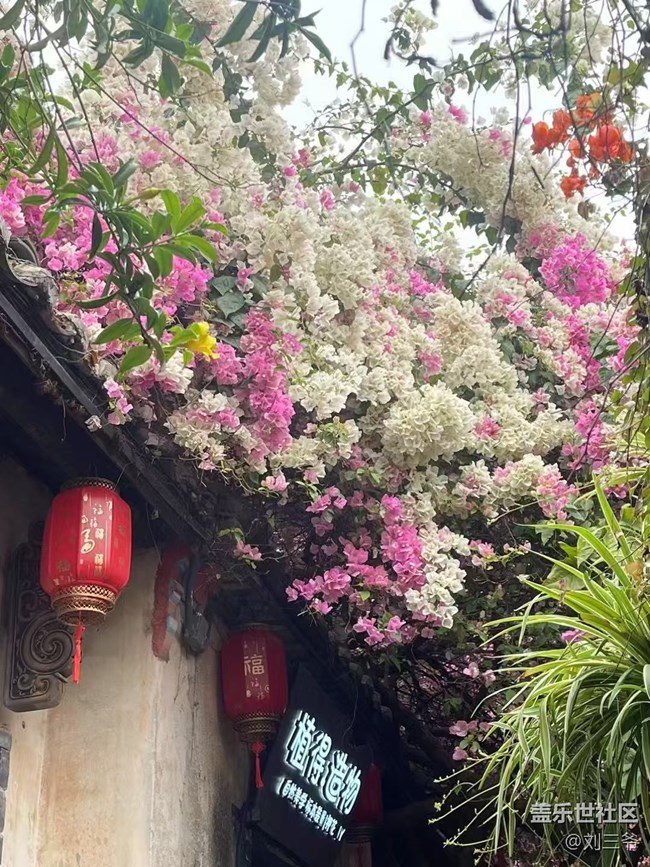 【春花浪漫】古建繁花，詩意流淌