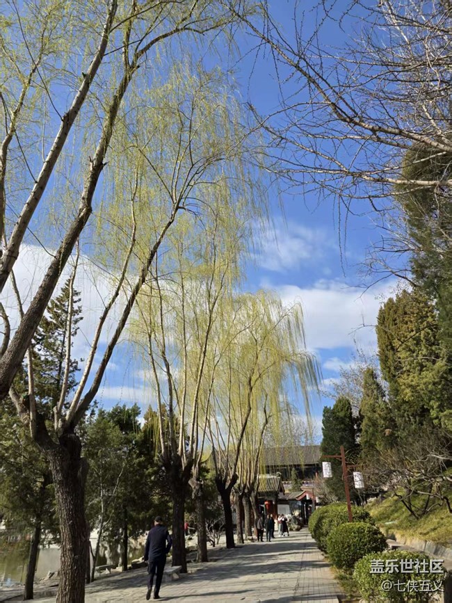 【春日序曲】桃紅柳綠春來到