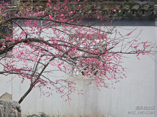 #煙花三月——天暖了