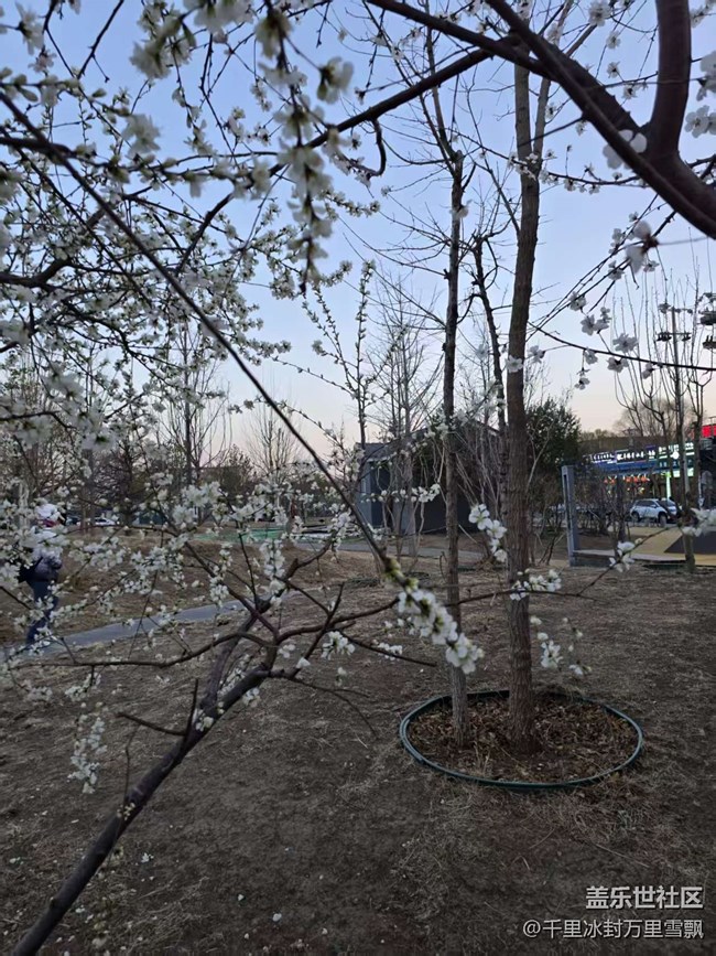 【春日序曲】春暖花開時