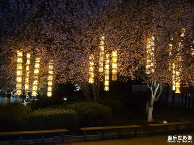 【春之夜】夜游清溪河