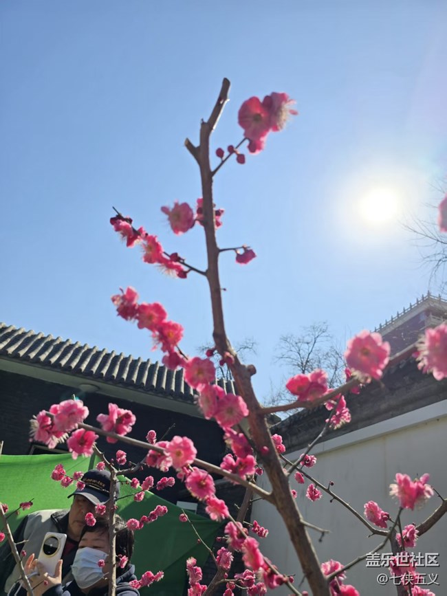 【春日序曲】桃紅柳綠春來到