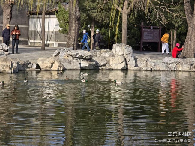 【春日序曲】春暖花開時